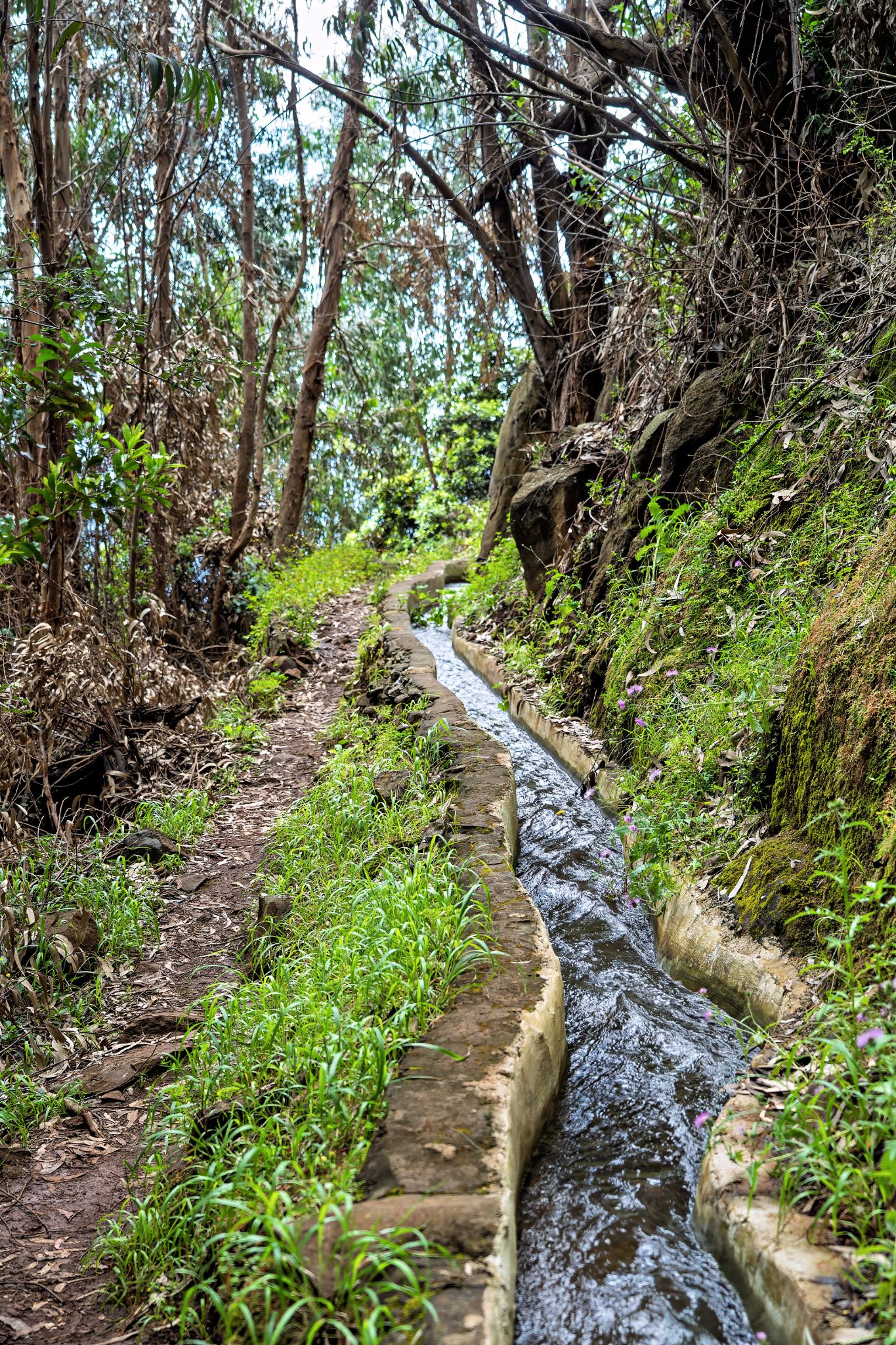 Die Levadas auf Madeira sind historische Bewässerungskanäle mit spektakulären Wanderwegen, Tunneln und Steilklippen – vielerorts sind Trittsicherheit und Taschenlampe erforderlich.